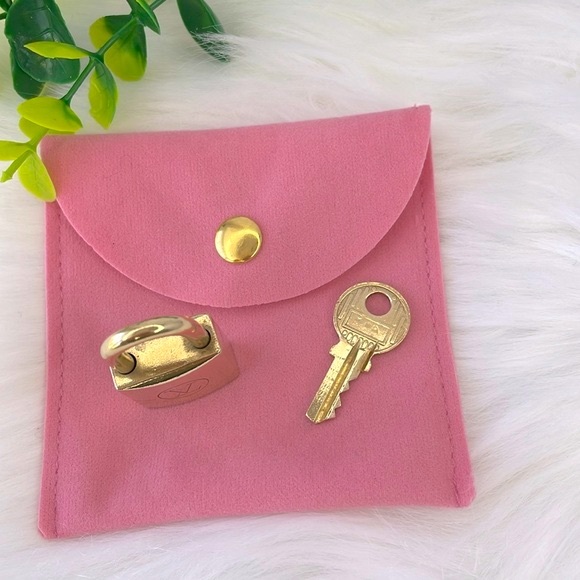 Louis Vuitton Padlock and Key #223 - Picture 10 of 14